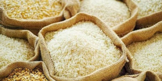 भारतले खोल्यो नेपालसहित ७ देशमाथिको चामल निर्यात प्रतिबन्ध