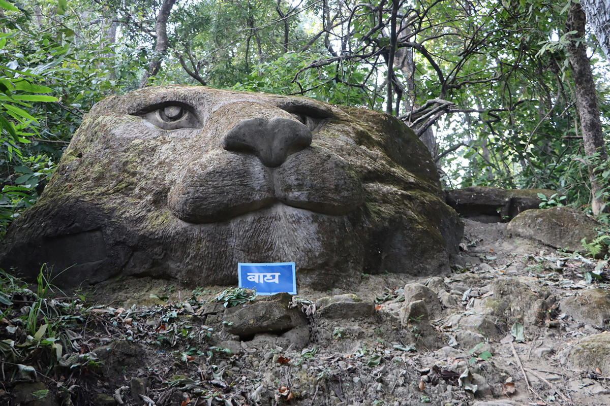 ढुंगामा बाघको यस्तो आकृति