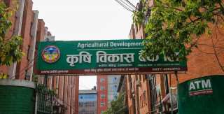 कृषि विकास बैंकको नाफा २९ प्रतिशत घट्यो, लाभांश क्षमता १० प्रतिशत