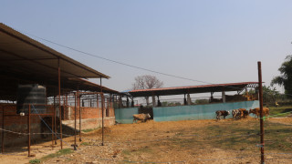 दूध र गोबर बेचेर मासिक १ लाख ५० हजार