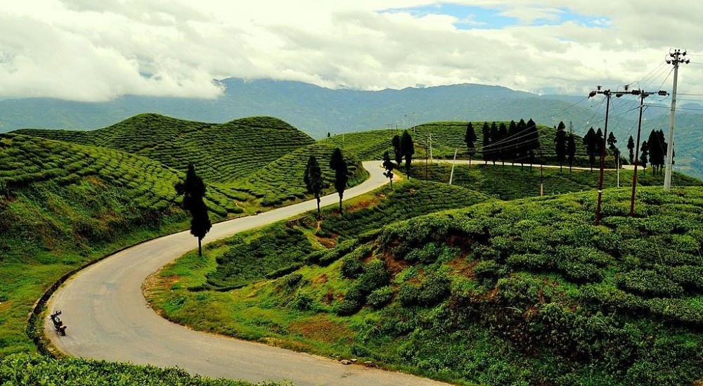 भारतीय सीमा ‘सिल’ गर्दै नेपाल