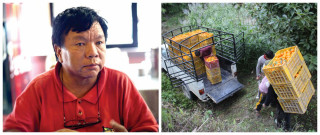 वैज्ञानिक महावीर पुनको जिल्ला म्याग्दीका कृषकले सुन्तला बेचेरै कमाए २१ करोड 