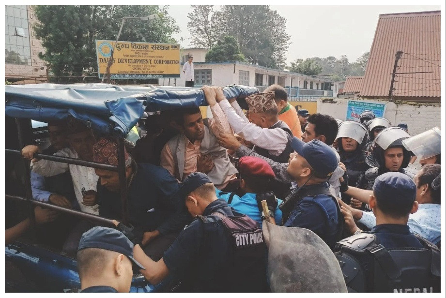 दूधको अर्बौँ भुक्तानी रोकिएपछि किसानले घेरे दुग्ध विकास संस्थान, प्रहरीको धरपकड