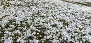 प्राकृतिक विपत्ति : भारी वर्षा र असिनाका कारण ३५ जनाको मृत्यु २३० घाइते