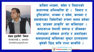 एक दृष्टि ‘‘शाश्वत आकृति’’ मा