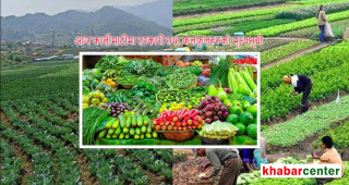 कालीमाटीमा आलु सस्तियो, कुन तरकारीको मूल्य कति?