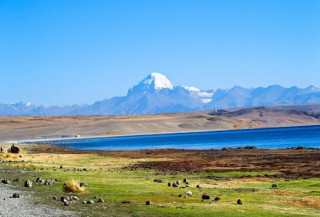 ह्वात्तै बढ्यो कैलाश मानसरोवर जानेको सङ्ख्या, भदौ २४ सम्म चार सय दुई उडान