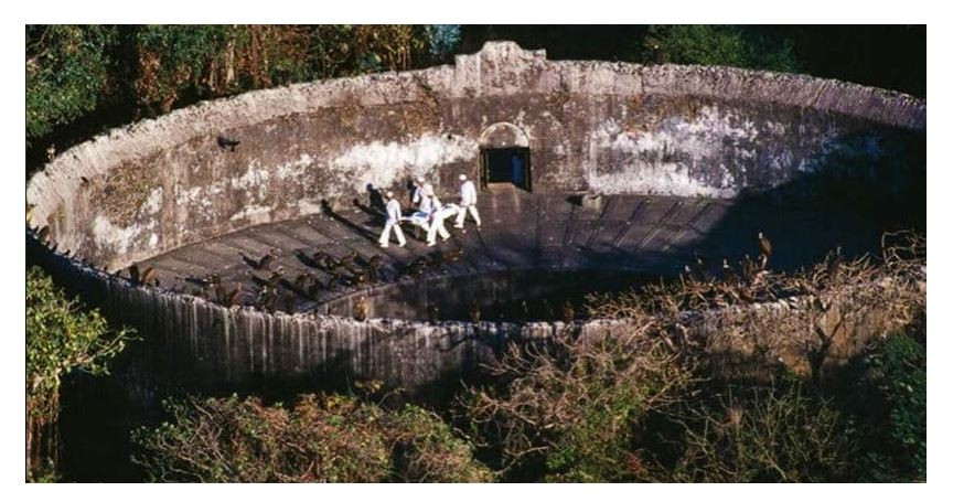 रतन टाटाको शव गिद्धलाई खुवाउन लागिएको हो ?