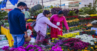 भृकुटीमण्डपमा तिहार फ्लोरा एक्स्पो सुरू