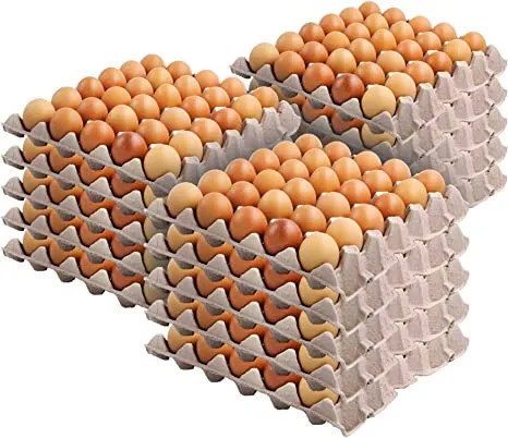 अण्डाको मूल्य हालसम्मकै उच्च, प्रतिक्रेट कति ?