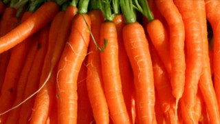 आज कालिमाटीमा गाजर ४५ रुपैयाँ प्रतिकिलो, अन्य तरकारीको मूल्य कति ?