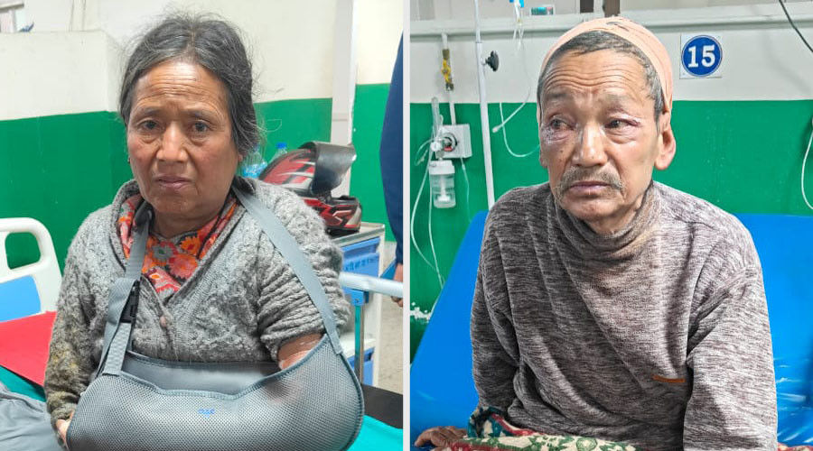 छोराको हत्या आरोपमा भ्लोन दम्पती हिरासतमा