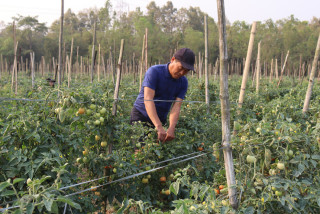 सागसब्जी बेचेर मासिक एक लाख आर्जन