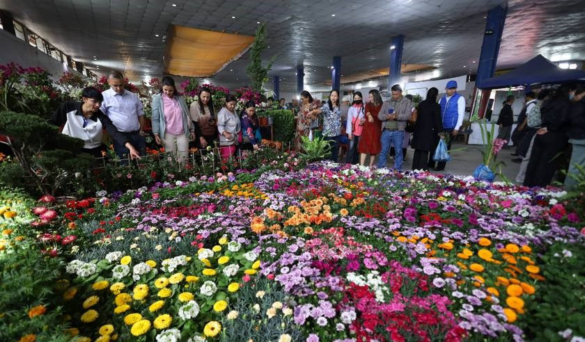 आजदेखि २६ औँ फ्लोरा एक्स्पो सुरु