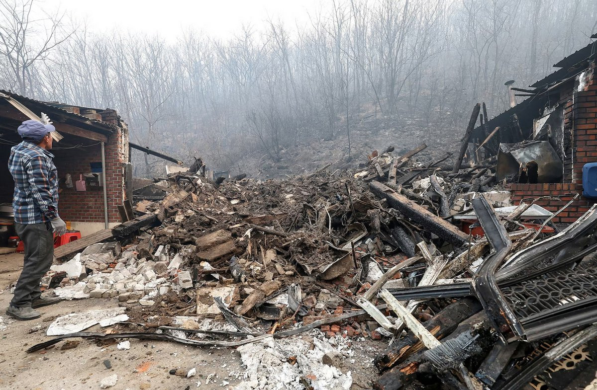 south-korea-forest-fire-(6)_3KaEiYQ7ID.jpg