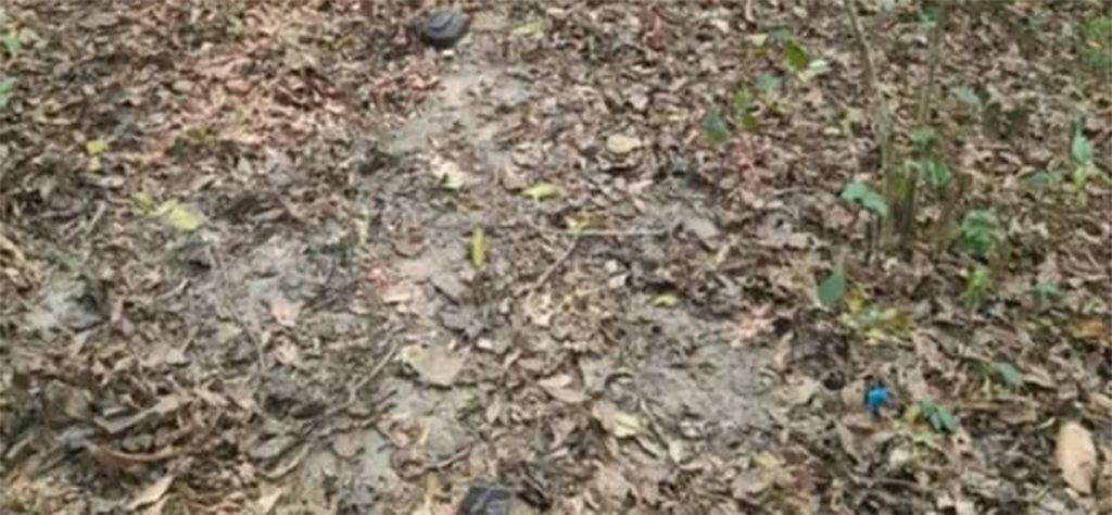 धरानको जंगलमा मृत भेटिएकी महिलाको परिवारका चार जना नियन्त्रणमा