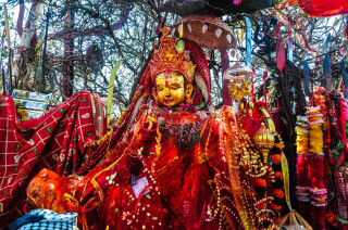 शनिबार ६ हजार ३९३ जना भक्तजनले पाथीभरा दर्शन गरे