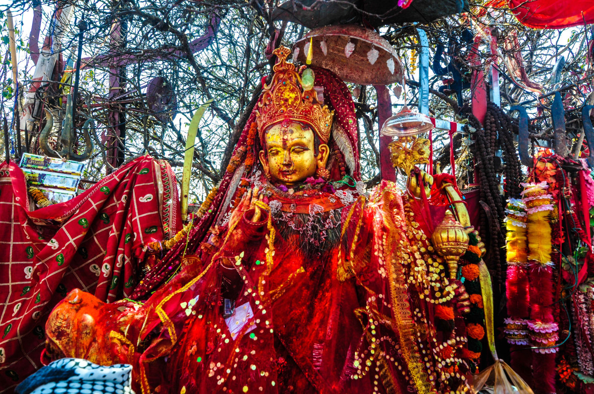 शनिबार ६ हजार ३९३ जना भक्तजनले पाथीभरा दर्शन गरे