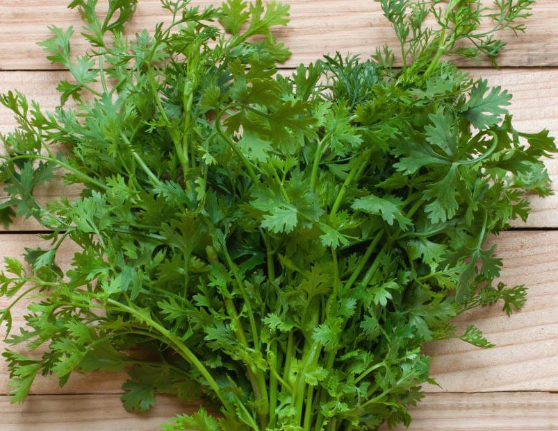 कालीमाटी तरकारी बजारको हरियो धनियाँमा भेटियो ९९ प्रतिशत विषादी