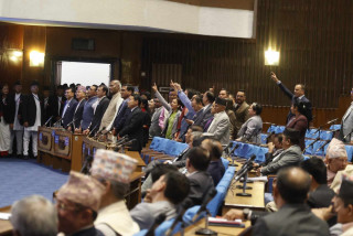 प्रतिनिधिसभा बैठकमा रास्वपा र राप्रपाले गरे सदन अवरोध