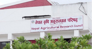 कृषि परियोजना कर्जाको अधिकतम ब्याजदर  घट्ने