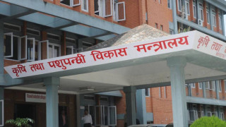 देशभर कृषि तथा पशुपालनमा क्षतिको विवरण सङ्कलन गरिँदै