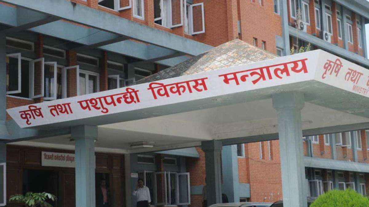 देशभर कृषि तथा पशुपालनमा क्षतिको विवरण सङ्कलन गरिँदै