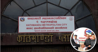 महानगरले सुरु गर्यो सामुदायिक कुकुरको बन्ध्याकरण