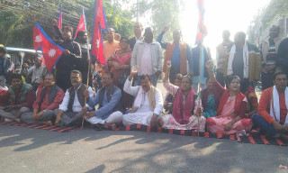 मधेश भवनमा सात दलको नेपालको झण्डासहित धर्ना