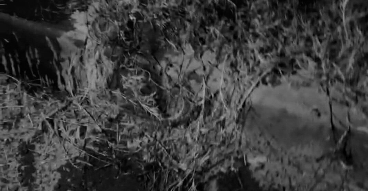 मध्यरातमा ढोका फोडेर कोठामा छिरेपछि श्रीमानलाई हानिन् चक्कुले