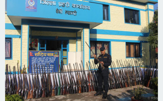 म्याग्दीमा एक सय पन्ध्र थान बन्दुक बरामद