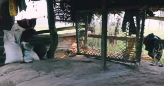 आफ्नै गोठमा मृत भेटिएकी महिलाको हत्या आफ्नै पतिबाट भएको खुलासा