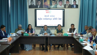 कांग्रेस केन्द्रीय कार्यसम्पादन समिति बैठक सुरु, समानुपातिक सांसद छान्ने