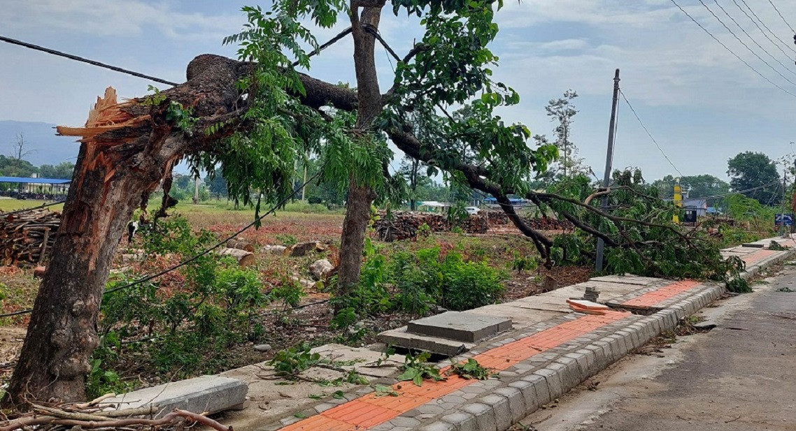 उदयपुरमा हावाहुरीले ढालेको रुखले लागेर २ जनाको मृत्यु, ५ घाइते