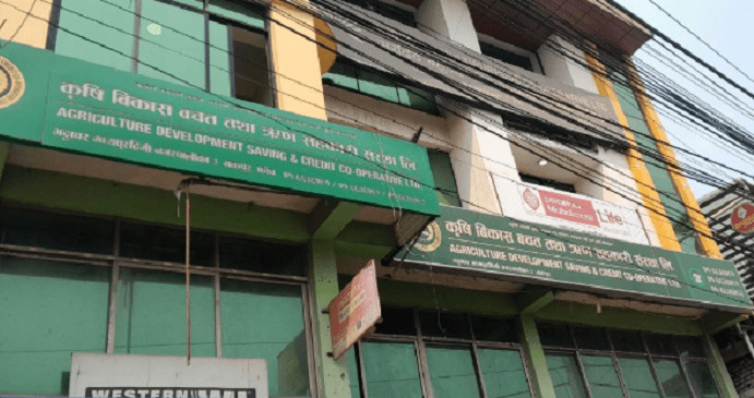 कृषि सहकारीका पीडितको बचत फिर्ता प्रक्रिया सुरु, प्रतिव्यक्ति १० हजारबाट थालनी