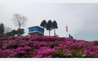 आहा ! एन्जेलिया
