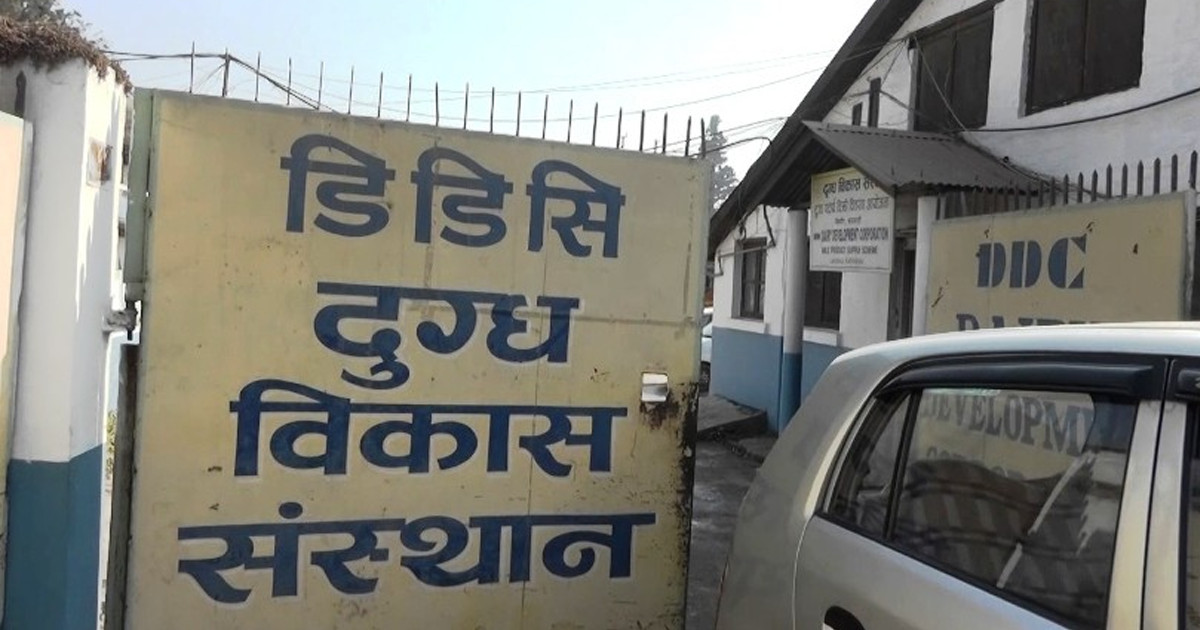 डीडीसीका कर्मचारीले अब सित्तैमा दुध र घिउ नपाउने