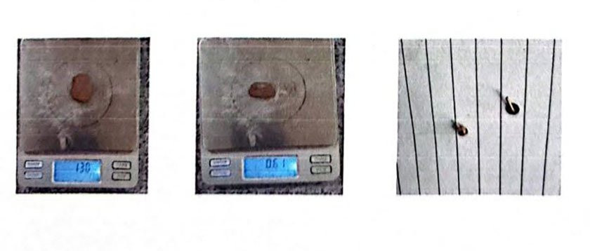 नक्कली प्रहरी बनेर लुटपाट गर्ने दुई जना लागुऔषधसहित पक्राउ