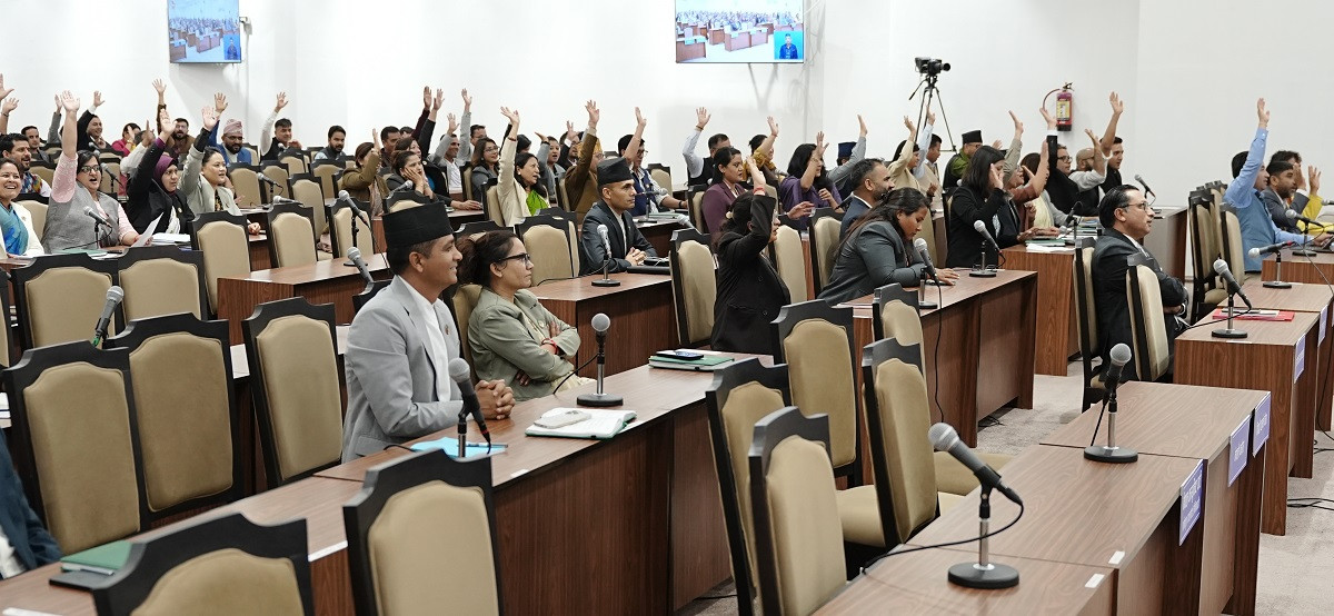 प्रतिनिधिसभाबाट ‘विनियोजन विधेयक, २०८३’ बहुमतबाट पारित