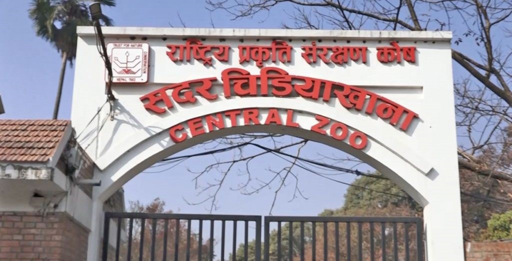 सदर चिडियाखानामा भेटियो बर्डफ्लु