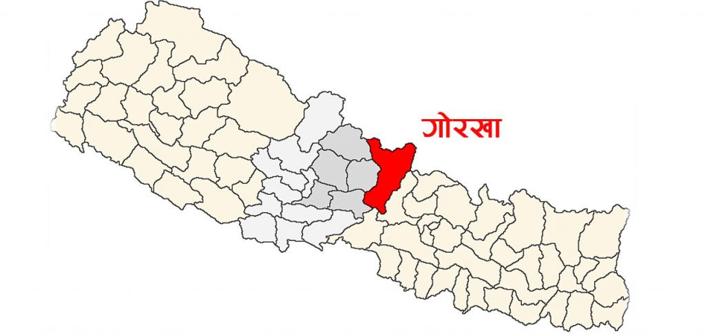 गोरखामा अफ्रिकन स्वाइन फिभरको प्रकोप, २५० भन्दा बढी सुँगुर/बंगुर मरे
