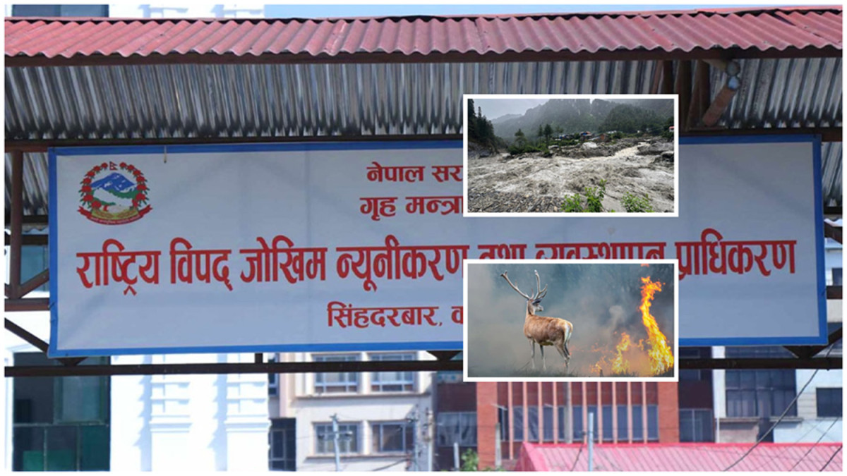 विपद्का घटनामा परी वैशाखयता १ सय ३६ जनाको मृत्यु, ६ सय बढी घाइते