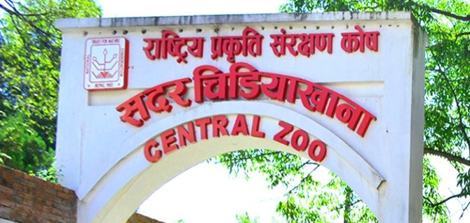 आजदेखि खुल्यो जावलाखेल चिडियाखाना