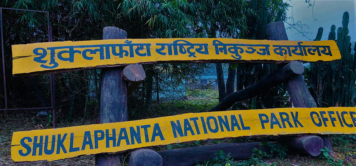 च्याउ खोज्न जंगल गएका १४ महिला आइतबारदेखि सम्पर्कविहीन