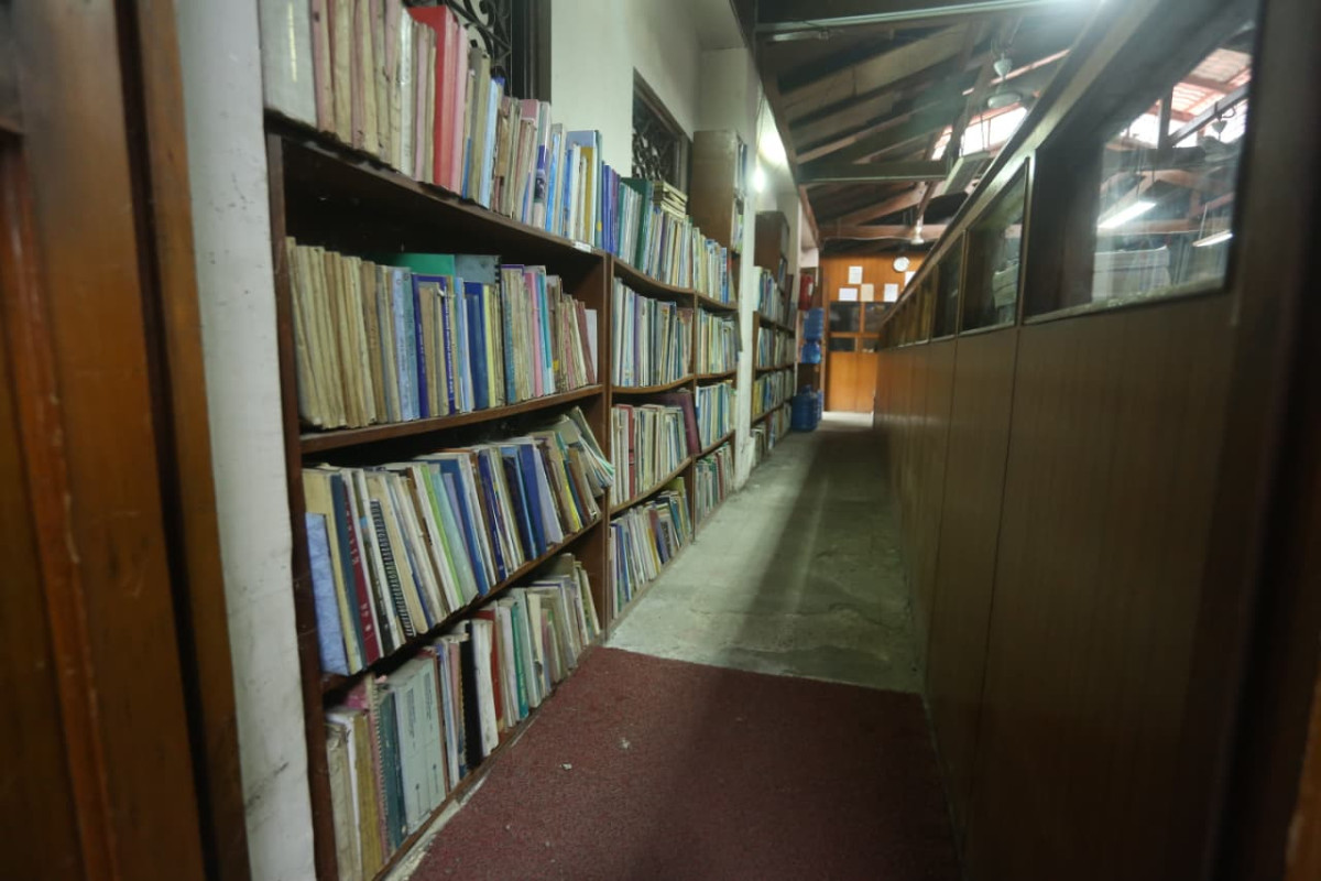 p2.jpg