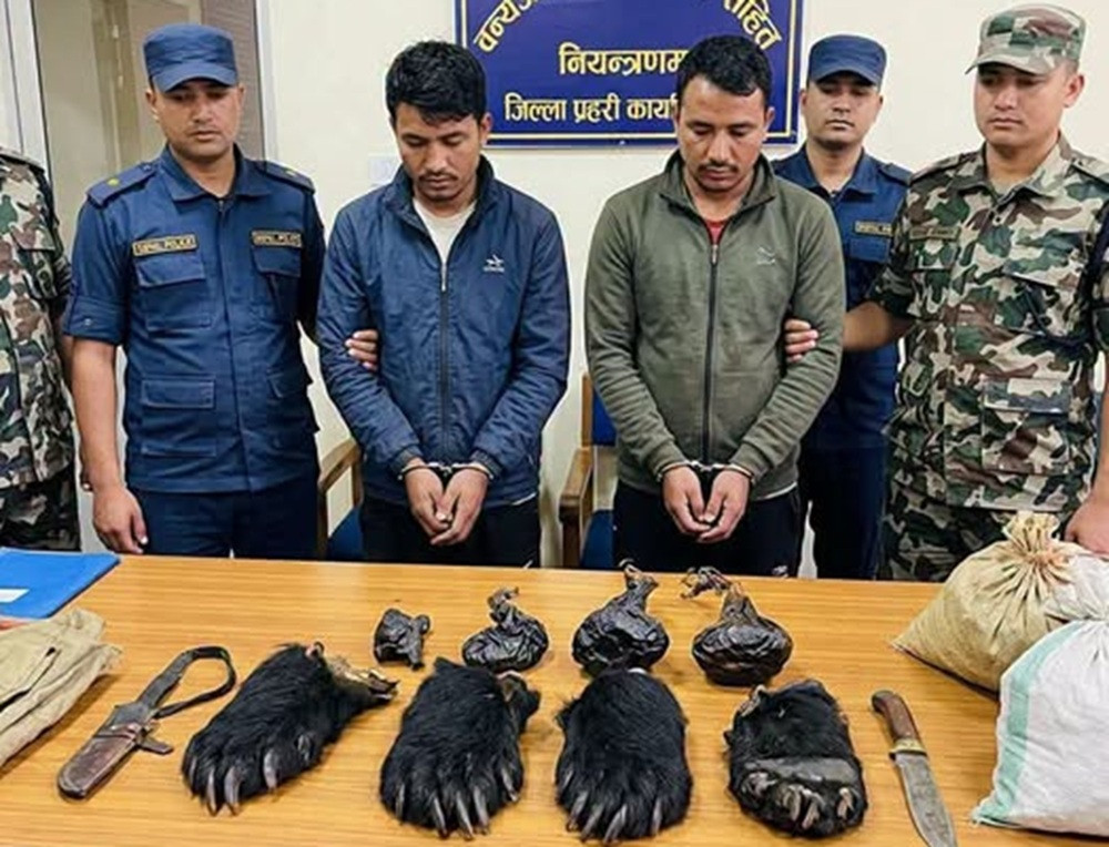 भालुको खुट्टासहित २ जना पक्राउ