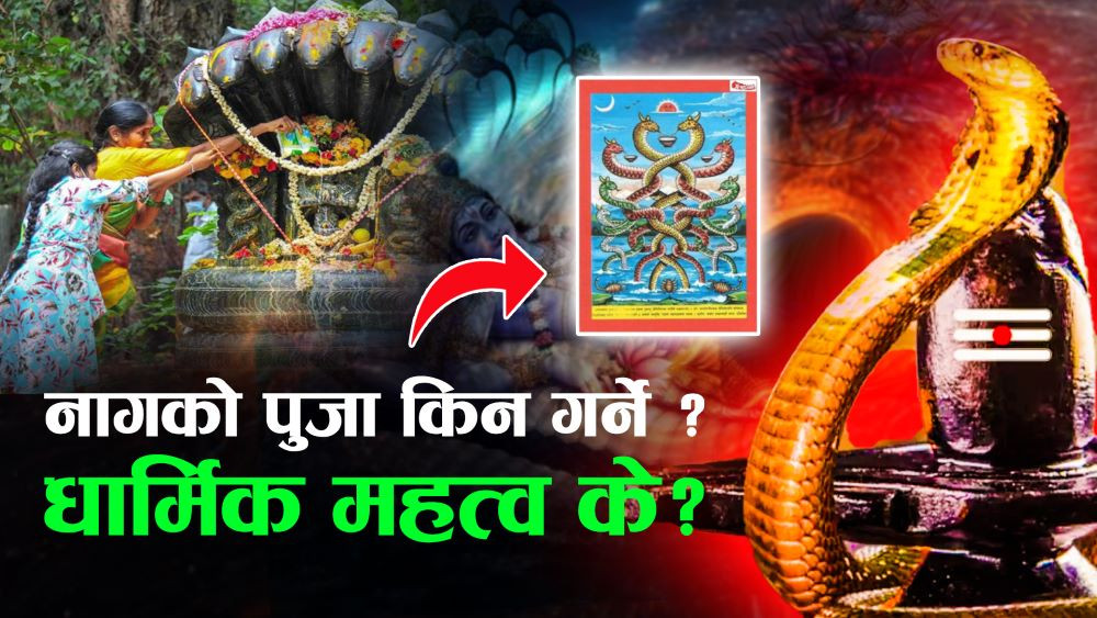 आज नागपञ्चमी : घर-घरमा नागको पूजाअर्चना गरी मनाइँदै, किन गरिन्छ नागको पूजा ?