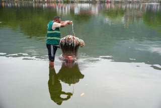 नागको मूर्ति पूजा