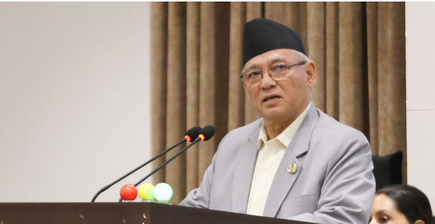 ‘वालेन्द्र सरकार पाकिस्तानी मोडलमा चलिरहेको छ, विस्तारै उत्तर कोरियाली मोडलतर्फ जाँदैछ’