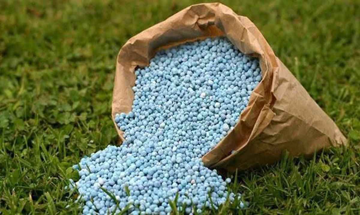 सरकारले भारतबाट २५ हजार मेट्रिक टन डिएपी मल खरिद गर्ने